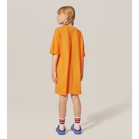 the campamento   Swan Short Sleeves Dress