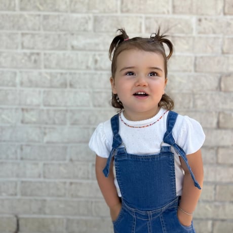 TWIN COLLECTIVE  Farrah Flare Overall - Western Blue