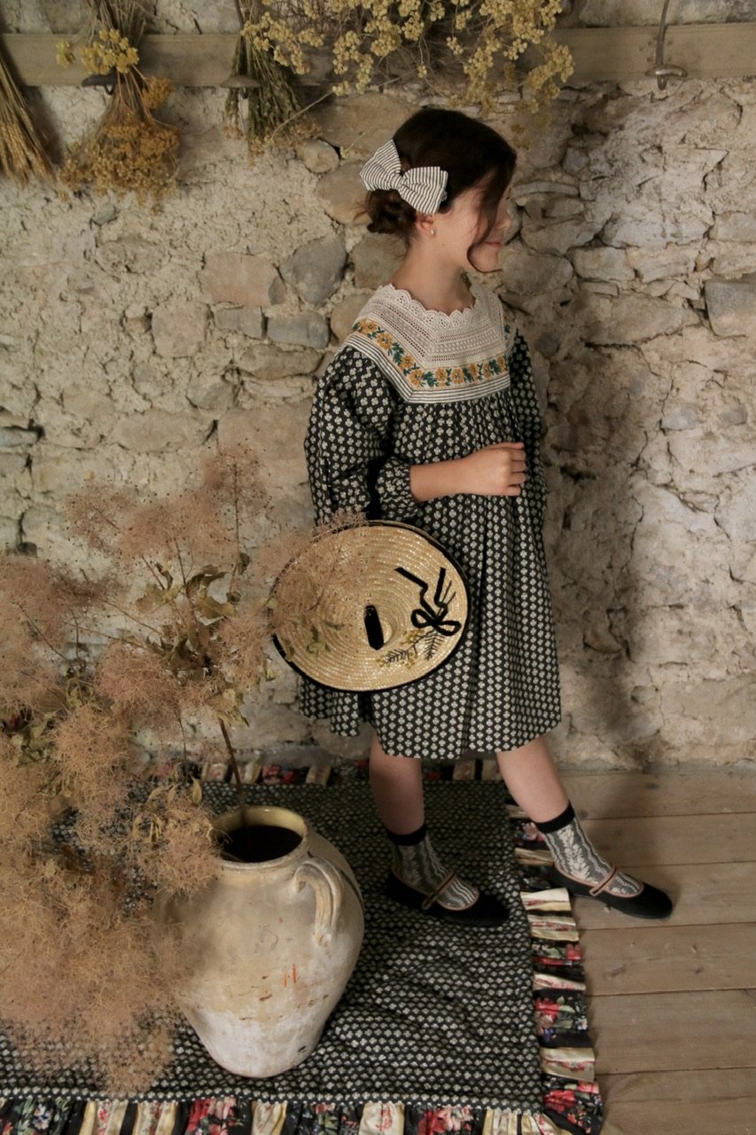 Bonjour Dress provencal print | hanakao