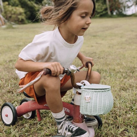 Olliella MINI CHARI