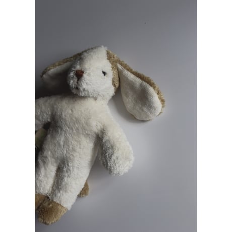 SENGER Naturwelt  Animal Baby Dog