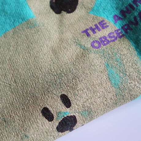 The Animals Observatory  Parrot Kids Vest Turquoise Bear