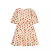 hello Simone   Nikita dress Peach