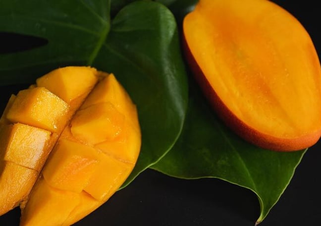 青マンゴー Shoes - Samba XLG Shoes - Blue | adidas Oman