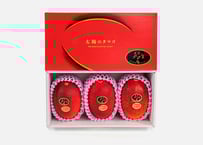 宮崎県産完熟マンゴー【太陽のタマゴ】 3L × 2玉 | 青島青果