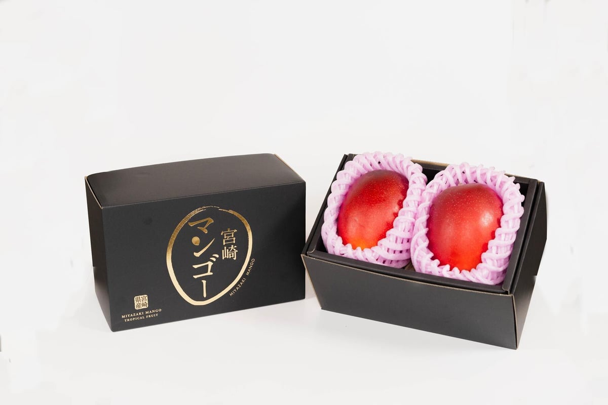 宮崎県産　宮崎完熟マンゴー2玉入り　4L　クール便発送 宮崎県産完熟マンゴー 4L × 2玉 | 青島青果