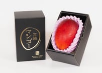 宮崎県産完熟マンゴー【太陽のタマゴ】 5L × 1玉 | 青島青果