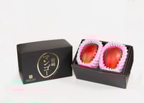 宮崎県産完熟マンゴー【太陽のタマゴ】 3L × 2玉 | 青島青果