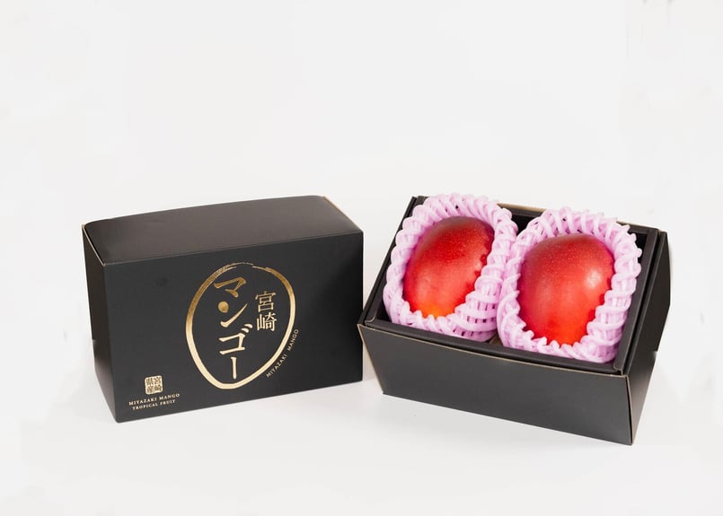 宮崎県産完熟マンゴー 3L × 2玉 | 青島青果
