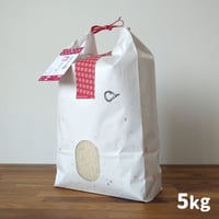「心」ななつぼし　5kg