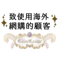 致使用海外網購的顧客