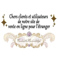 Chers clients et utilisateurs de notre site de vente en ligne pour l’étranger