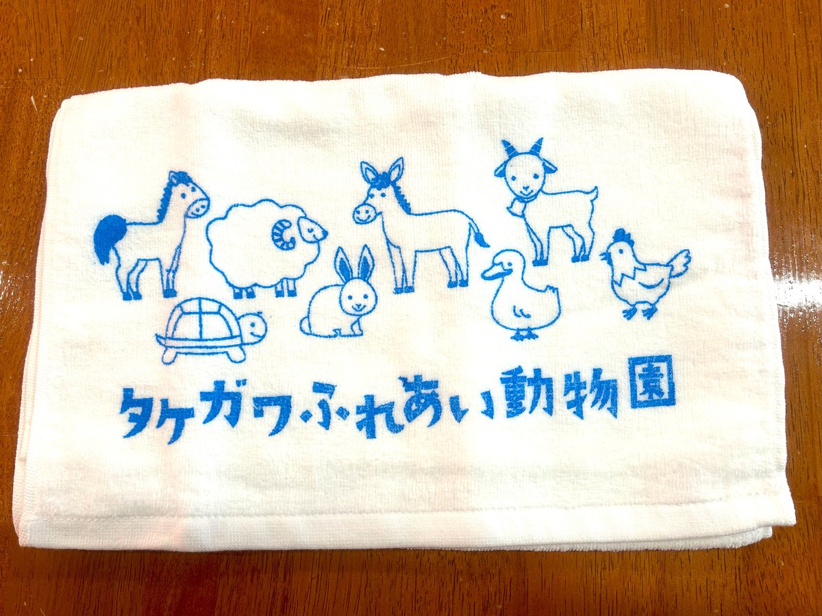 オリジナルタオル（ブルー）＜運営支援グッズ＞【送料含む