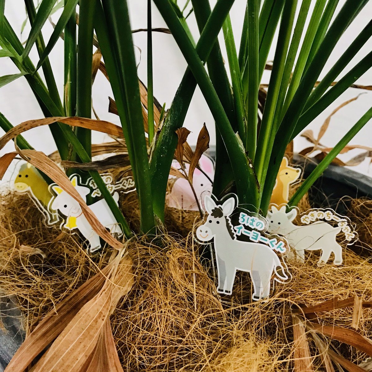 fit=scale-down,w=1200