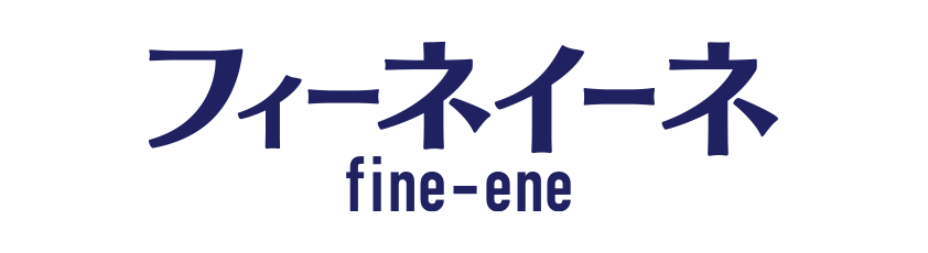 FINE ENE STORES