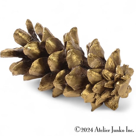 CATEGORY Pinecone 松ぼっくり | Atelier Junko EC shop