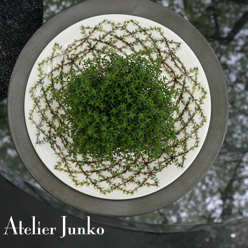 プレゼンテーションプレート Presentation plate | Atelier Junk