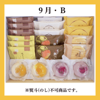 ★当日発送★特選おやつボックス【９月・Ｂ】（８種・１８個）