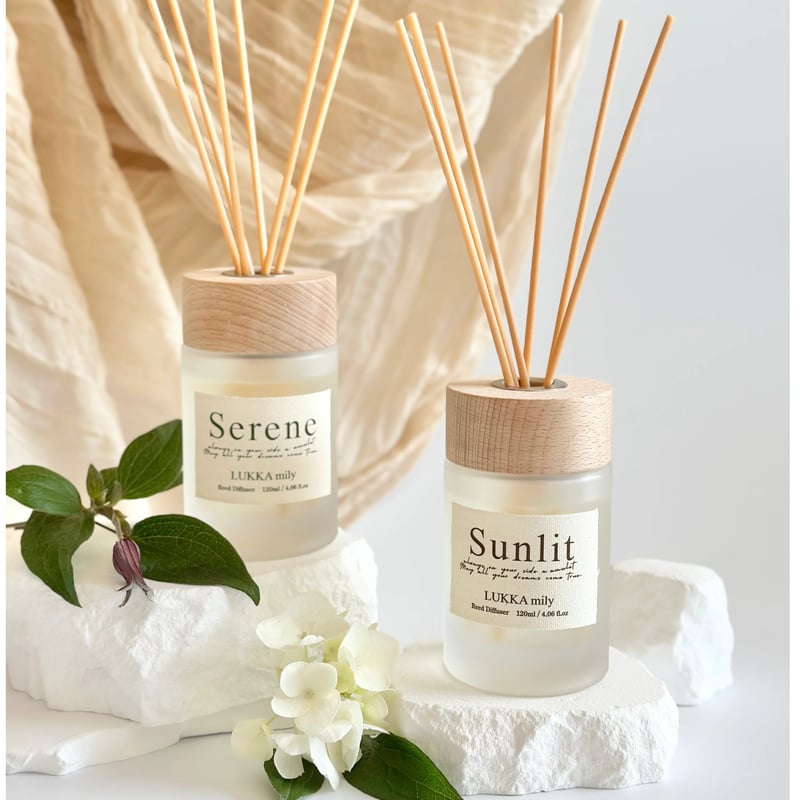 2026 SET 【365】 | LUKKA mily