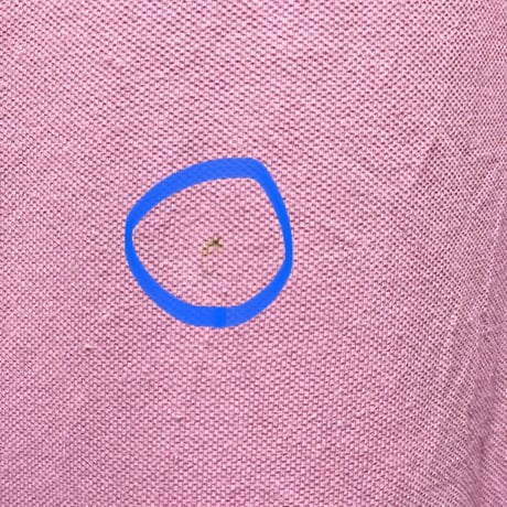 希少 MADE IN USA製 Polo by Ralph Lauren 半袖鹿の子ポロシャツ ピンクパープル Mサイズ