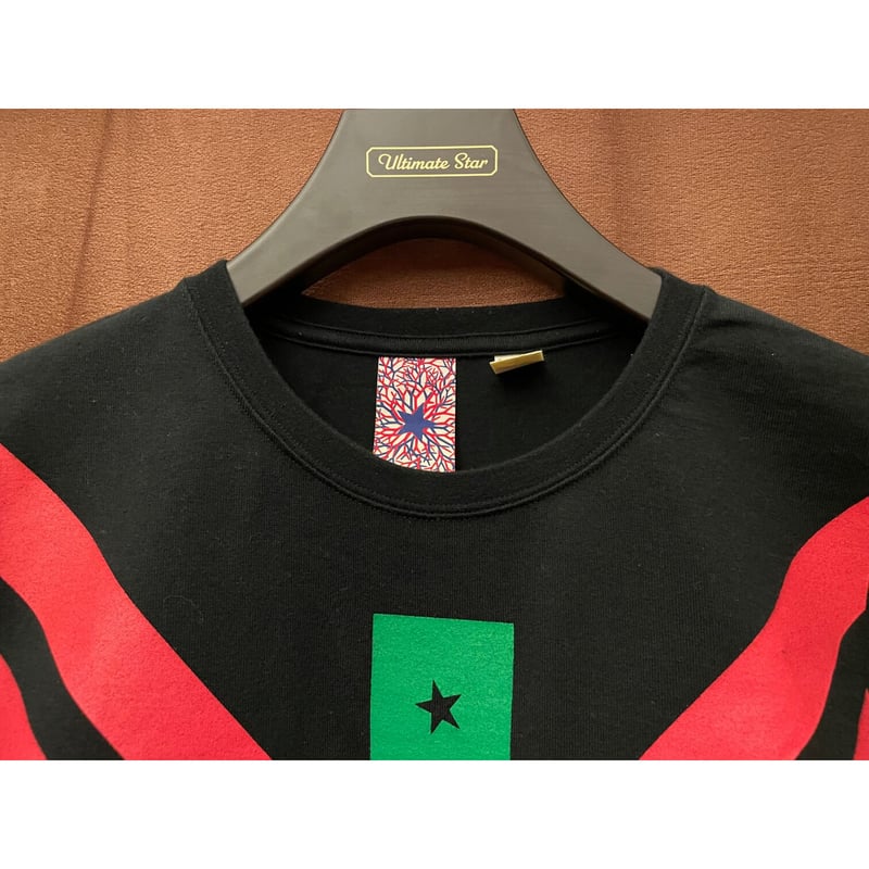 MADE IN JAPAN製 PHENOMENON 2009年モデル プリントTシャツ ブラッ