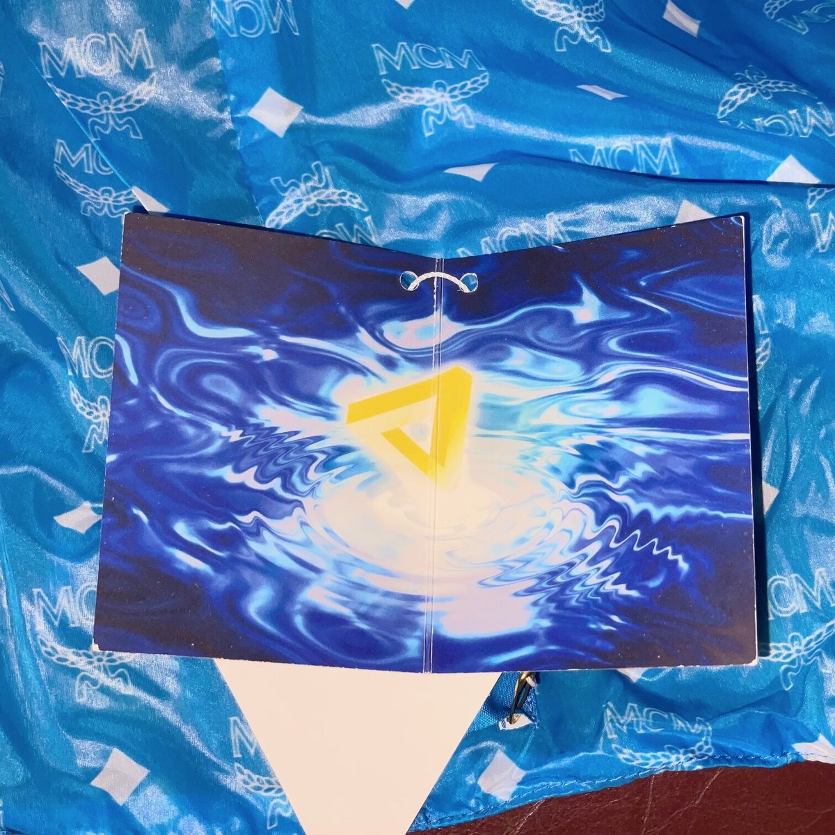 PHENOMENON × MCM TISAシースルーコート TAZ着