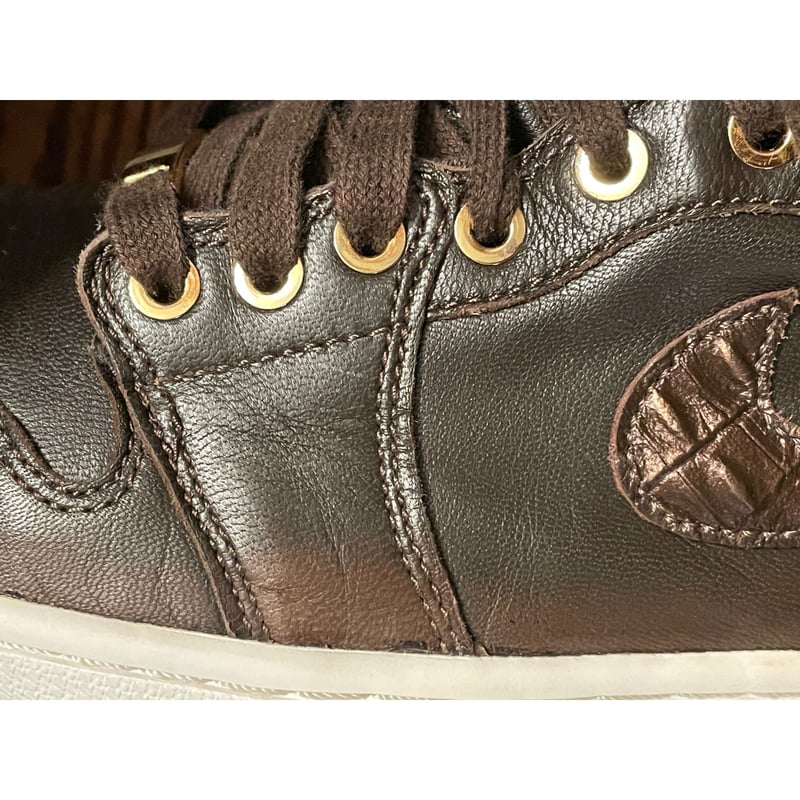 激レア NIKE AIR JORDAN 1 Pinnacle Baroque Brown クロ