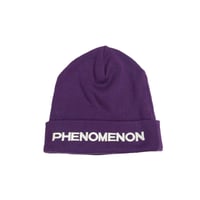 MADE IN JAPAN製 PHENOMENON 2008年モデル 刺繍入りニット帽 パープル Fサイズ