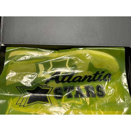 箱付き MADE IN ITALY製 Atlantic Stars SIRIUSモデルスニーカー 迷彩 46/28.5~29cmサイズ