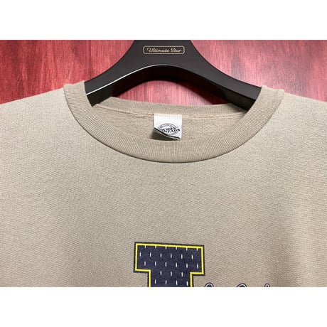 MADE IN USA製 90s COMMON THREADS PEANUTS SNOOPY プリントスウェットトレーナー サンドベージュ Lサイズ
