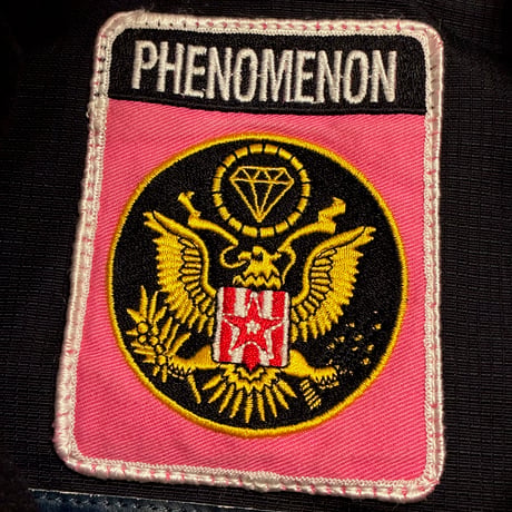 名作 PHENOMENON 2006年モデル ネオンカラー マウンテンジャケット ブラック Lサイズ