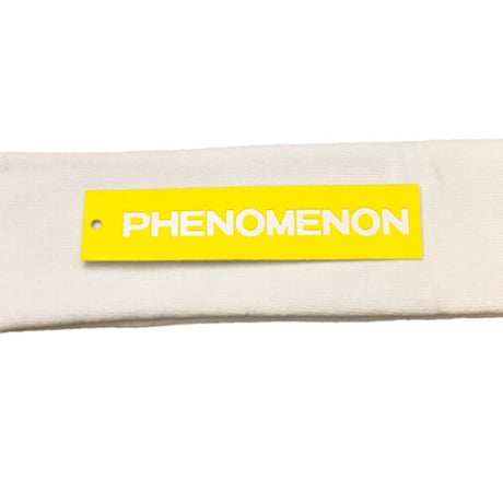☆タグ付き新古品☆ PHENOMENON チューブソックス ホワイト×グリーン Fサイズ