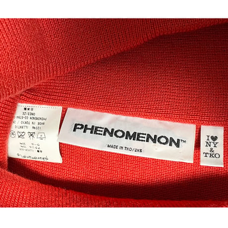 激レア MADE IN JAPAN製 PHENOMENON 2005年モデル ビーニーニット帽 レッド Fサイズ