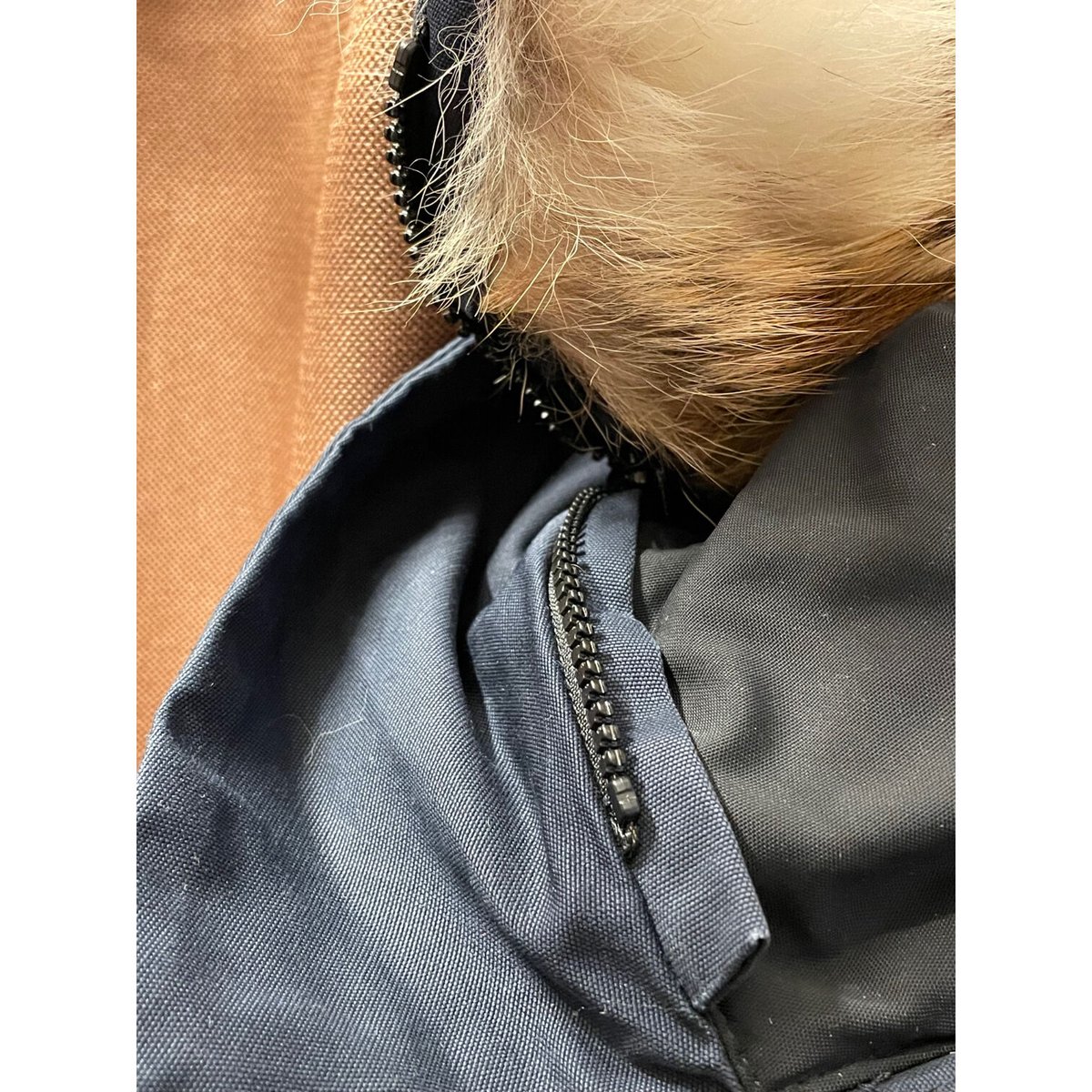 sandro ブラックコート　レザーファー sandro PARIS コヨーテファー付き中綿コットンジャケット