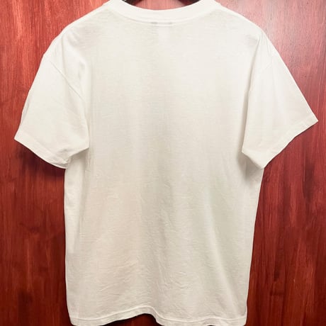 激レア MADE IN USA製 90s 公式ライセンス品 TEAM GEAR 1994 FIFA WORLD CUP USA IRELAND モデル プリントTシャツ Lサイズ