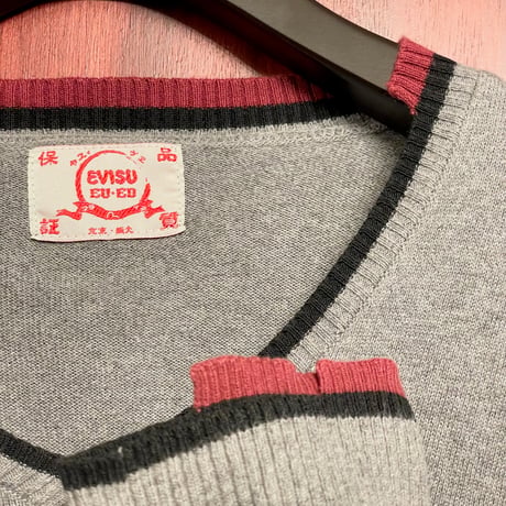 希少 MADE IN ITALY製 EVISU EU・ED ユーロエヴィス Vネックコットンセーター グレー Mサイズ