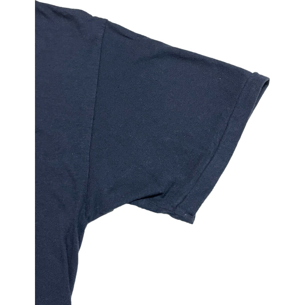 MADE IN JAPAN製 Violet Buffalo Wallows 半袖Tシャツ ネイ