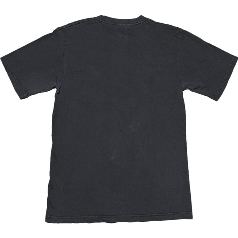 MADE IN USA製 AERO SMITH アーティストTシャツ giantボディ ブラッ