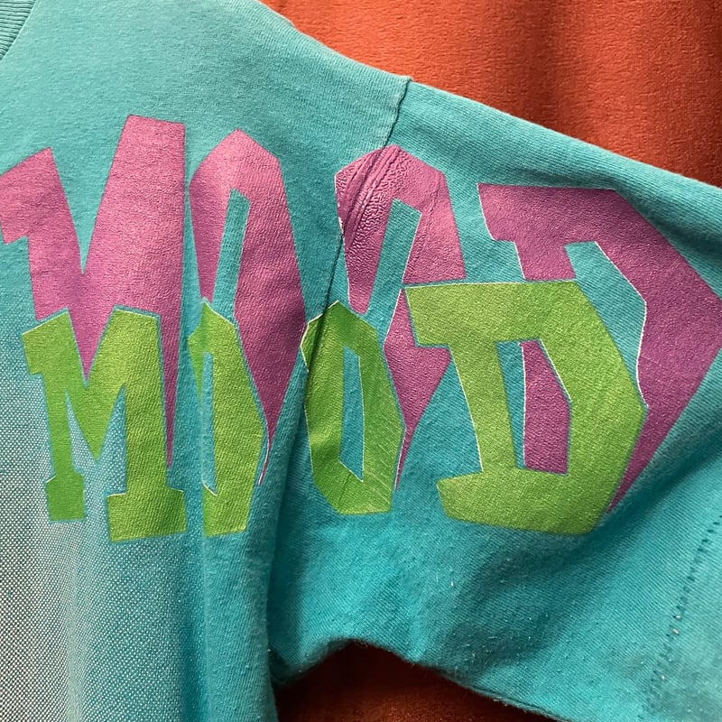 MADE IN USA製 90s LOONEY TUNES TWEETY プリントTシャツ タ