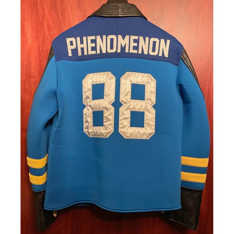 激レア MADE IN JAPAN製 PHENOMENON 2015年SSモデル カウレザーコンビ ハイブリッド リバーシブルライダースジャケット ブルー×ブラック L/40サイズ