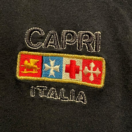 MADE IN ITALY製 HARMONY CAPRI ITALIA 刺繍入りVネックTシャツ ネイビー Lサイズ