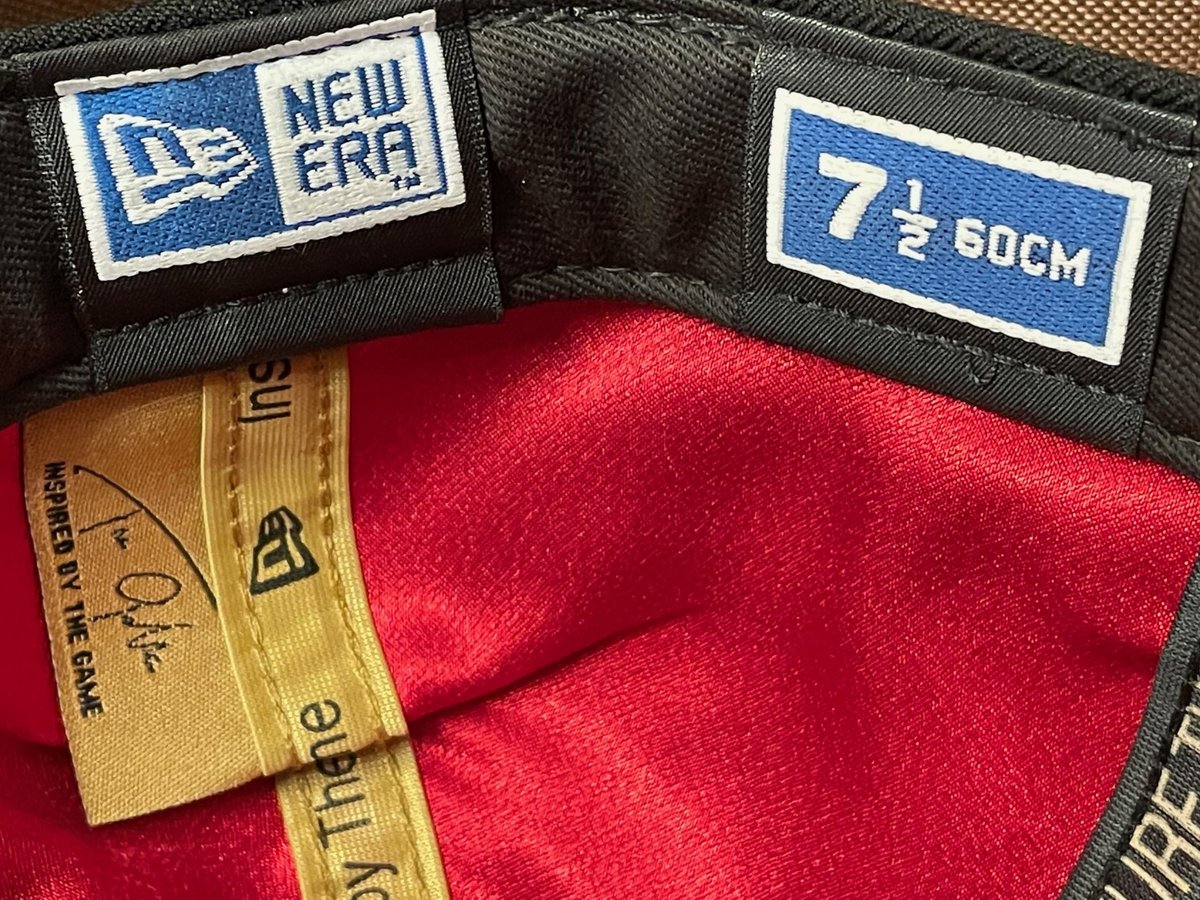 激レア 世界288個限定 MADE IN USA製 NEW ERA CAPTURE THE F