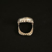 激レア PHENOMENON × GARNI 2011年SSモデル スターリングシルバーシャークリング シルバー 13～14号サイズ