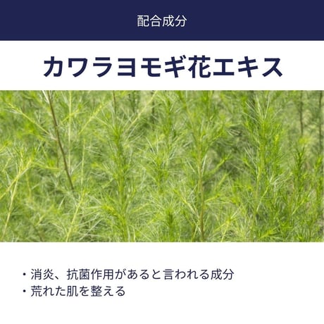 ★新品★ MADE IN JAPAN製 Figo スキンローション×モイストセラム×アンチシャインクリーム×洗顔スキンウォッシュ パーフェクトエイジングケア4点セット