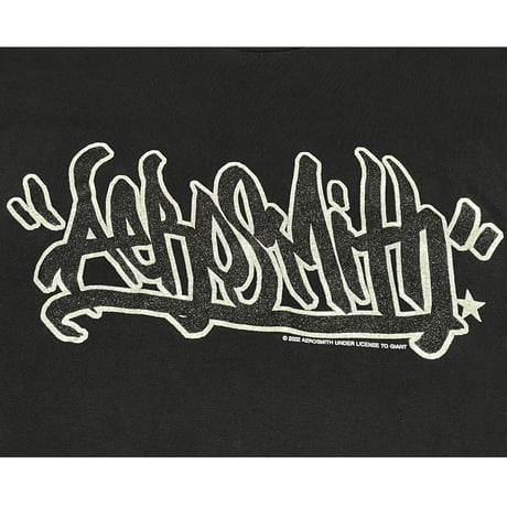 MADE IN USA製 AERO SMITH アーティストTシャツ giantボディ ブラック Mサイズ