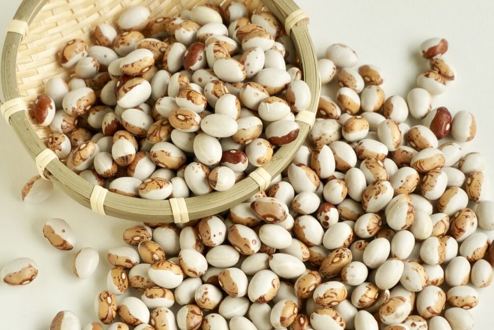 北海道産 とら豆 | SAITAMAYA mix&mix_ONLINE SHOP