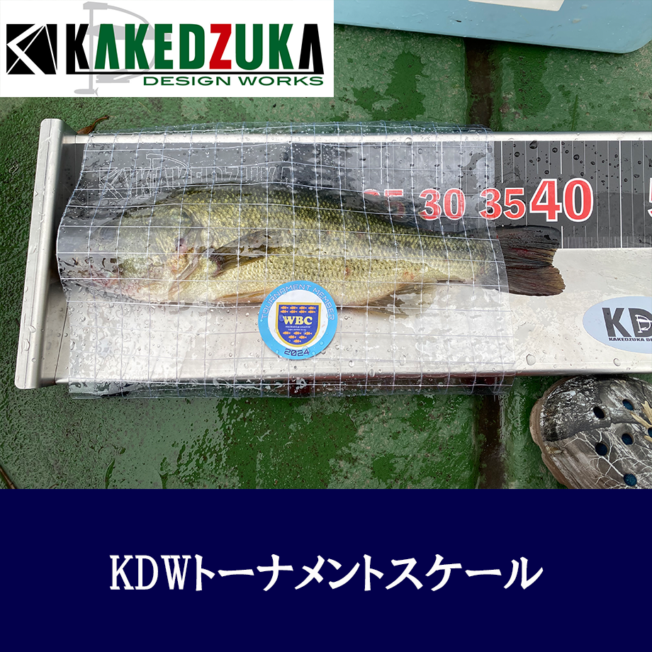 66d1328763cfc308ad40970a