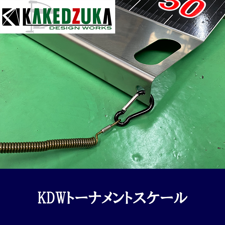 66d1328763cfc308ad40970a
