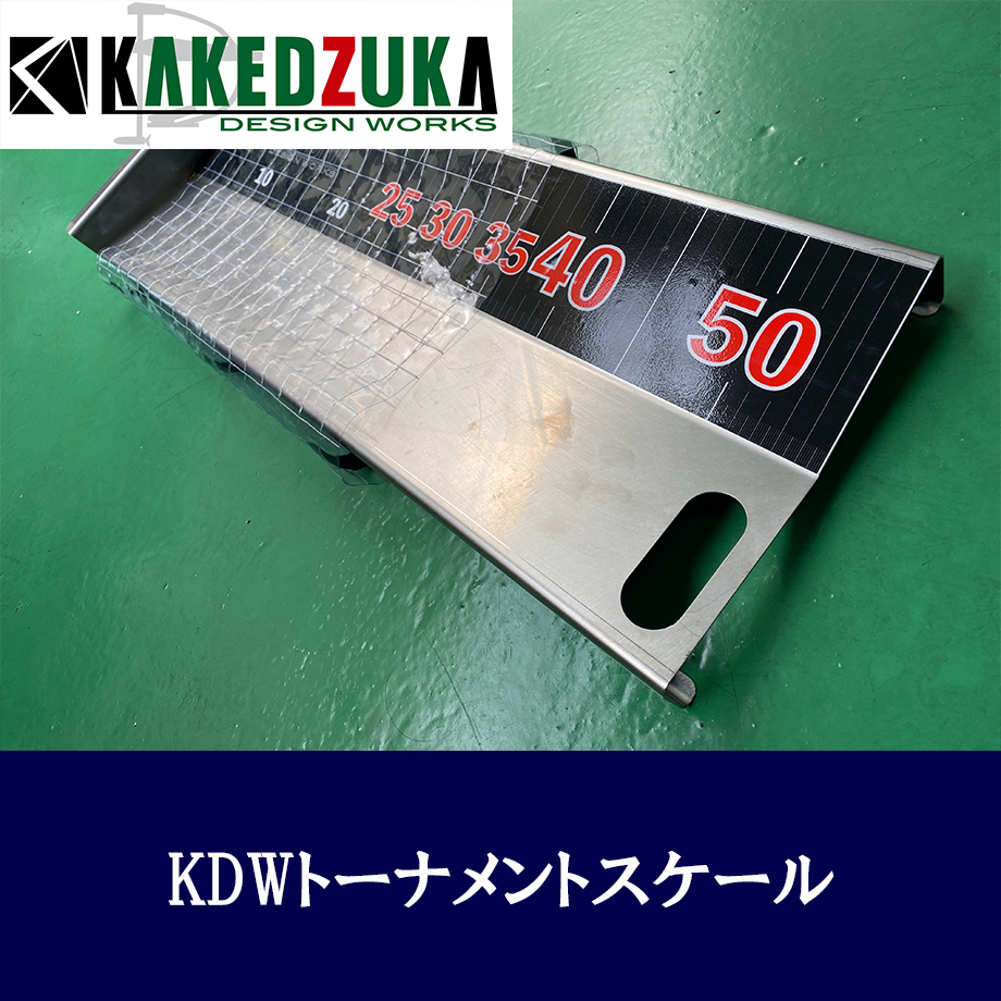 66d1328763cfc308ad40970a