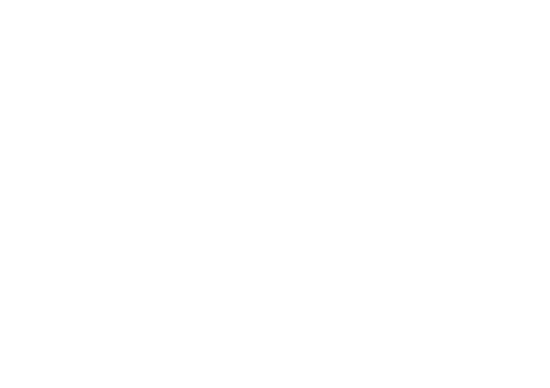 RiOWA
